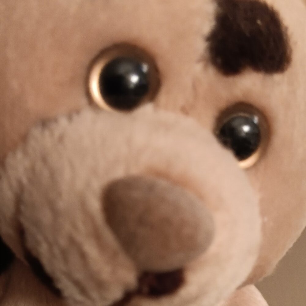 Teddy Grahams Cookies Mascot Tan and brown teddy bear with embroidered logo New